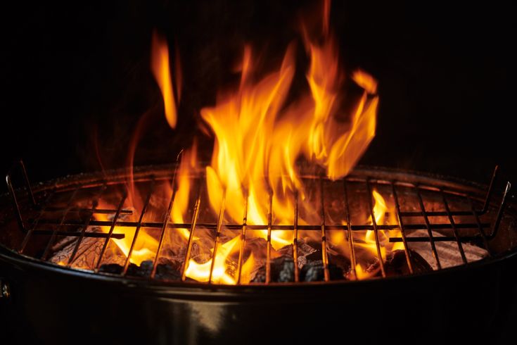 fire briquette